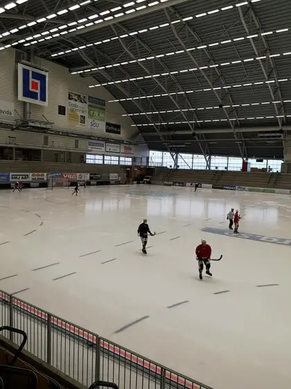 treningsleier2